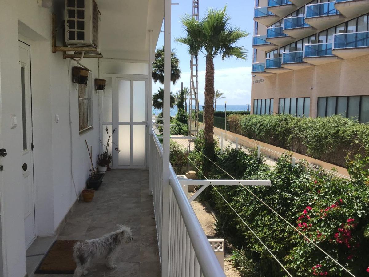 Carpe Diem Apartman El Albir Kültér fotó